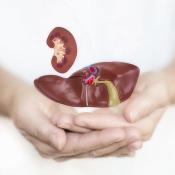 The Immunosuppression Balancing Act: Preserving Long-Term Allograft Function for Optimal Patient Outcomes The Immunosuppression Balancing Act: Preserving Long-Term Allograft Function for Optimal Patient Outcomes