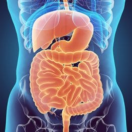 Gastroenterology CME Credits