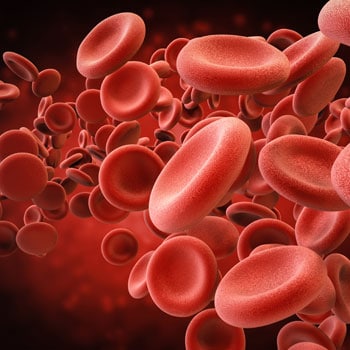 Hematology CME Credits