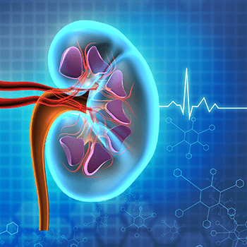 Kidney Disease CME Credits